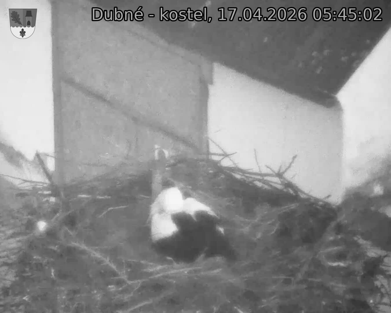 Capi_Dubne_20260417_054502.jpg (1350&nbsp;x&nbsp;1080)