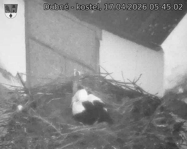 Capi_Dubne_20260417_054502.jpg (1350&nbsp;x&nbsp;1080)