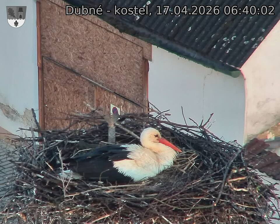 Capi_Dubne_20260417_064002.jpg (1350&nbsp;x&nbsp;1080)