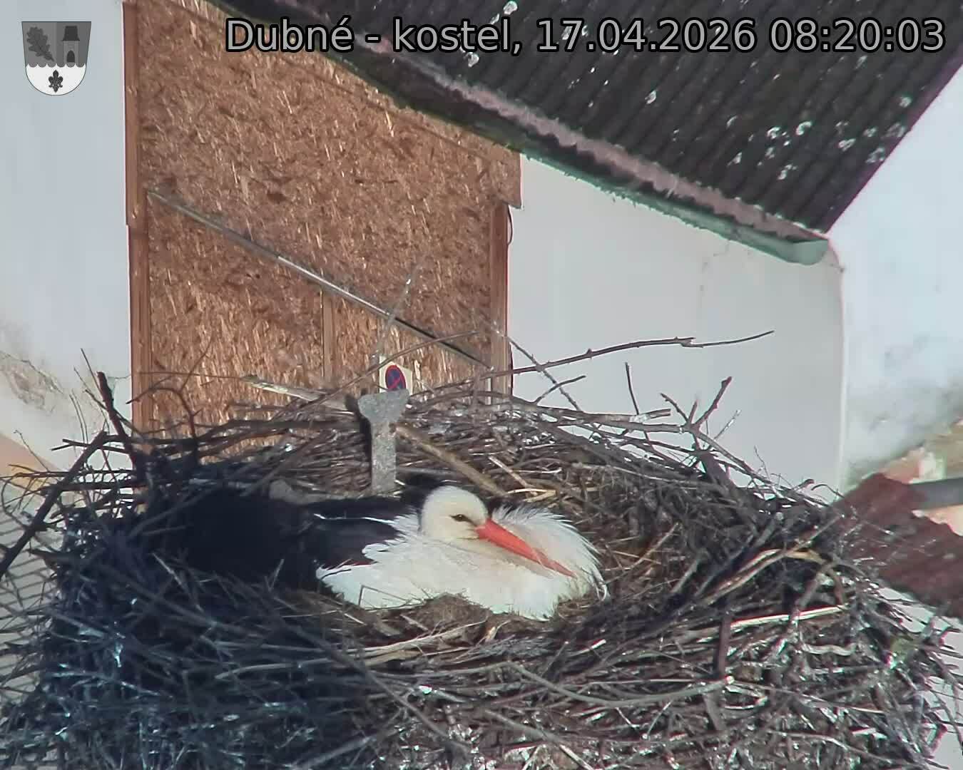 Capi_Dubne_20260417_082003.jpg (1350&nbsp;x&nbsp;1080)