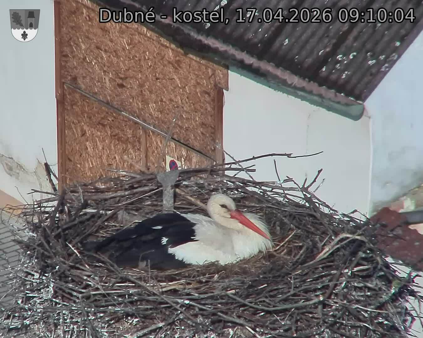 Capi_Dubne_20260417_091004.jpg (1350&nbsp;x&nbsp;1080)