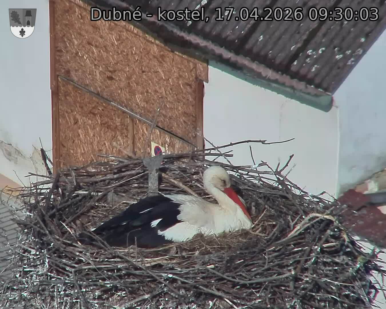 Capi_Dubne_20260417_093003.jpg (1350&nbsp;x&nbsp;1080)