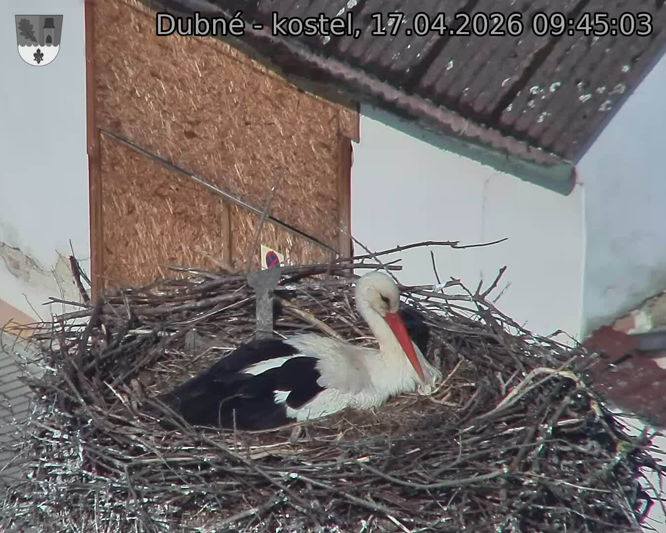 Capi_Dubne_20260417_094503.jpg (1350&nbsp;x&nbsp;1080)