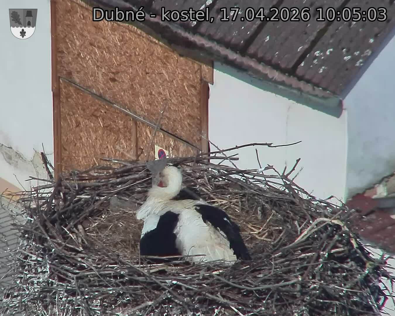 Capi_Dubne_20260417_100503.jpg (1350&nbsp;x&nbsp;1080)