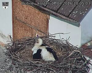 Capi_Dubne_20260417_100503.jpg (1350&nbsp;x&nbsp;1080)