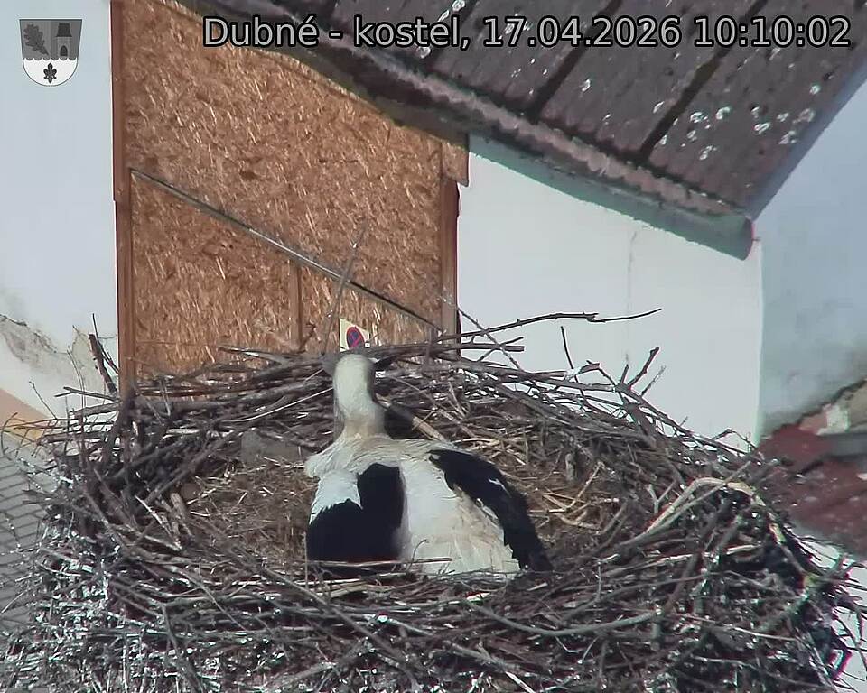 Capi_Dubne_20260417_101002.jpg (1350&nbsp;x&nbsp;1080)