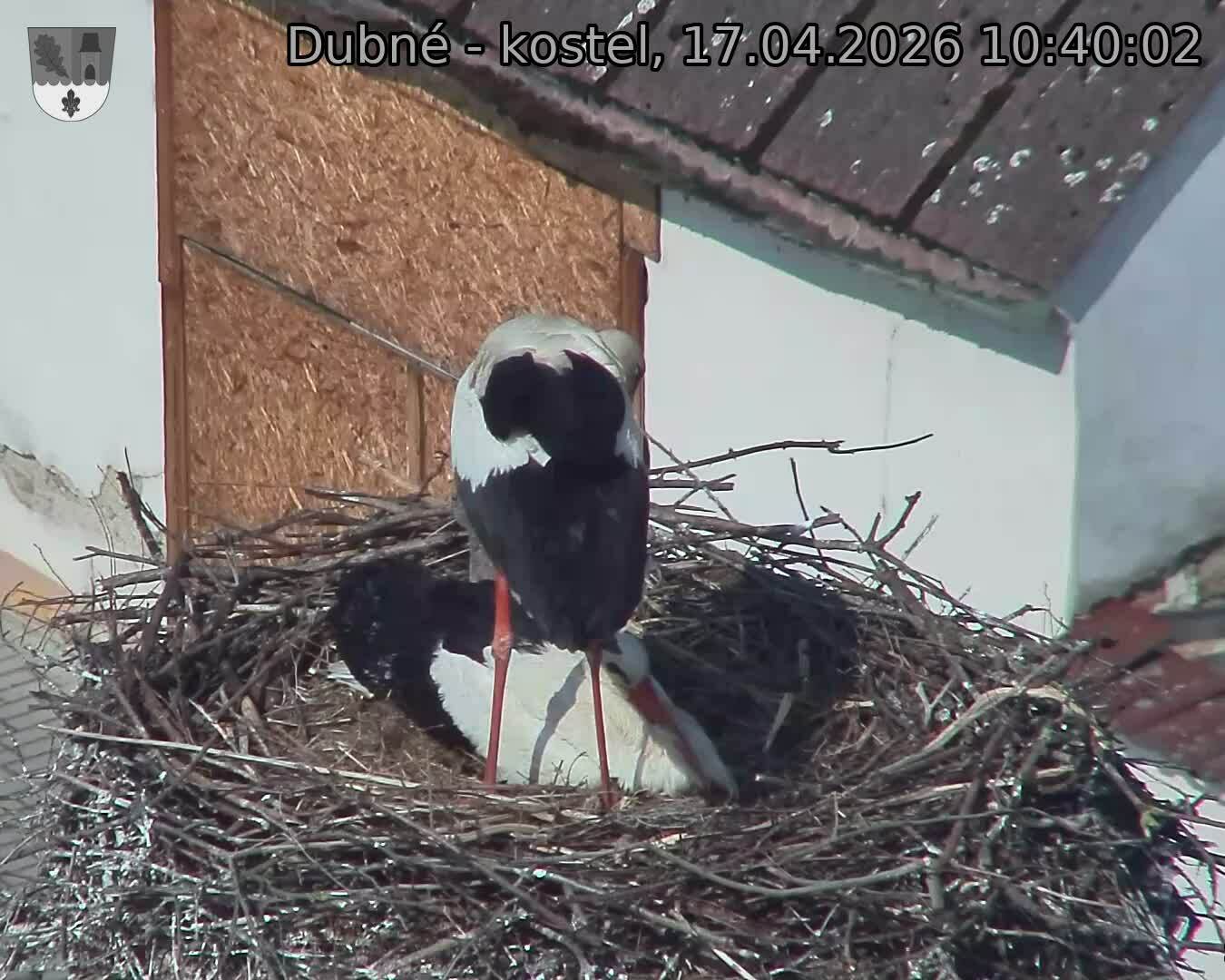 Capi_Dubne_20260417_104002.jpg (1350&nbsp;x&nbsp;1080)