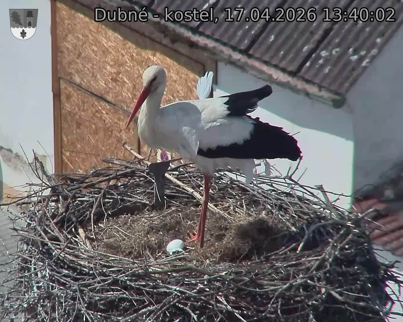 Capi_Dubne_20260417_134002.jpg (1350&nbsp;x&nbsp;1080)