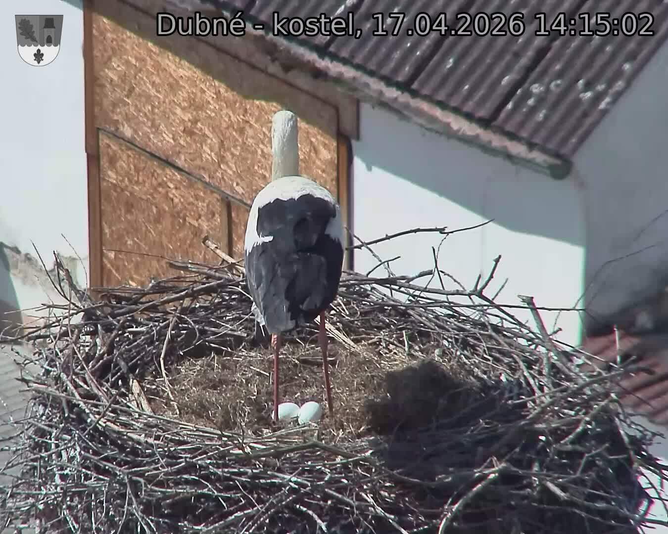 Capi_Dubne_20260417_141502.jpg (1350&nbsp;x&nbsp;1080)
