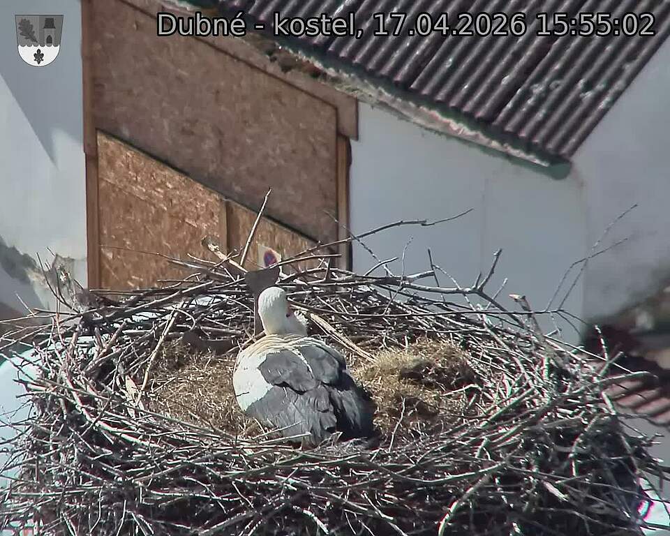 Capi_Dubne_20260417_155502.jpg (1350&nbsp;x&nbsp;1080)