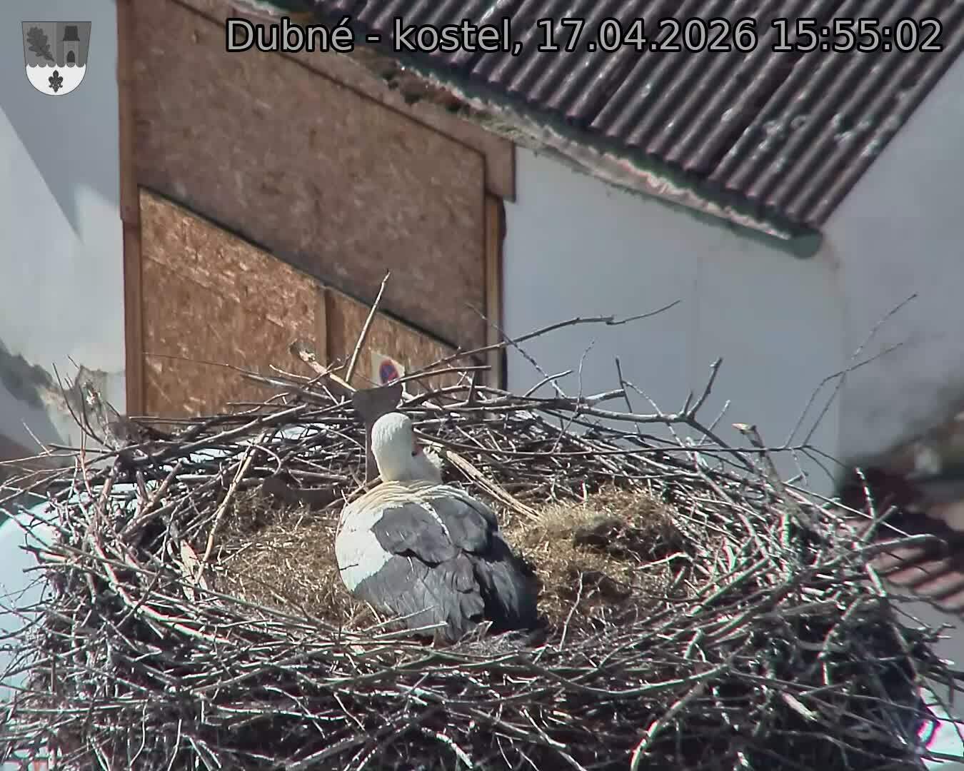 Capi_Dubne_20260417_155502.jpg (1350&nbsp;x&nbsp;1080)