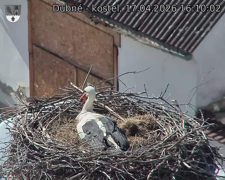 Capi_Dubne_20260417_161002.jpg (1350&nbsp;x&nbsp;1080)