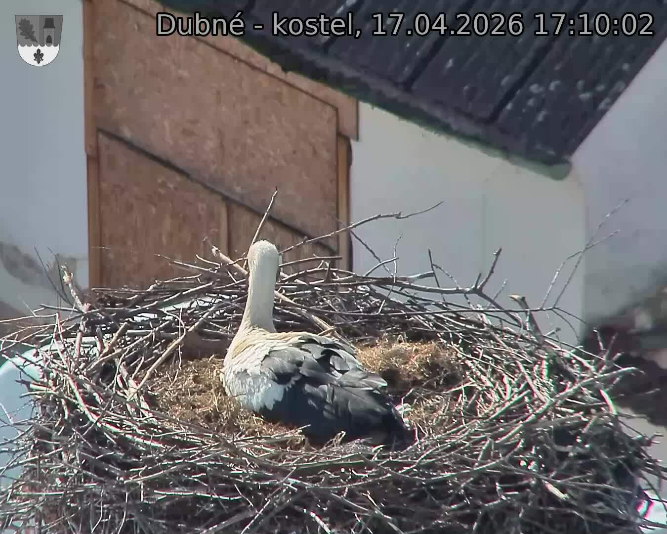 Capi_Dubne_20260417_171002.jpg (1350&nbsp;x&nbsp;1080)