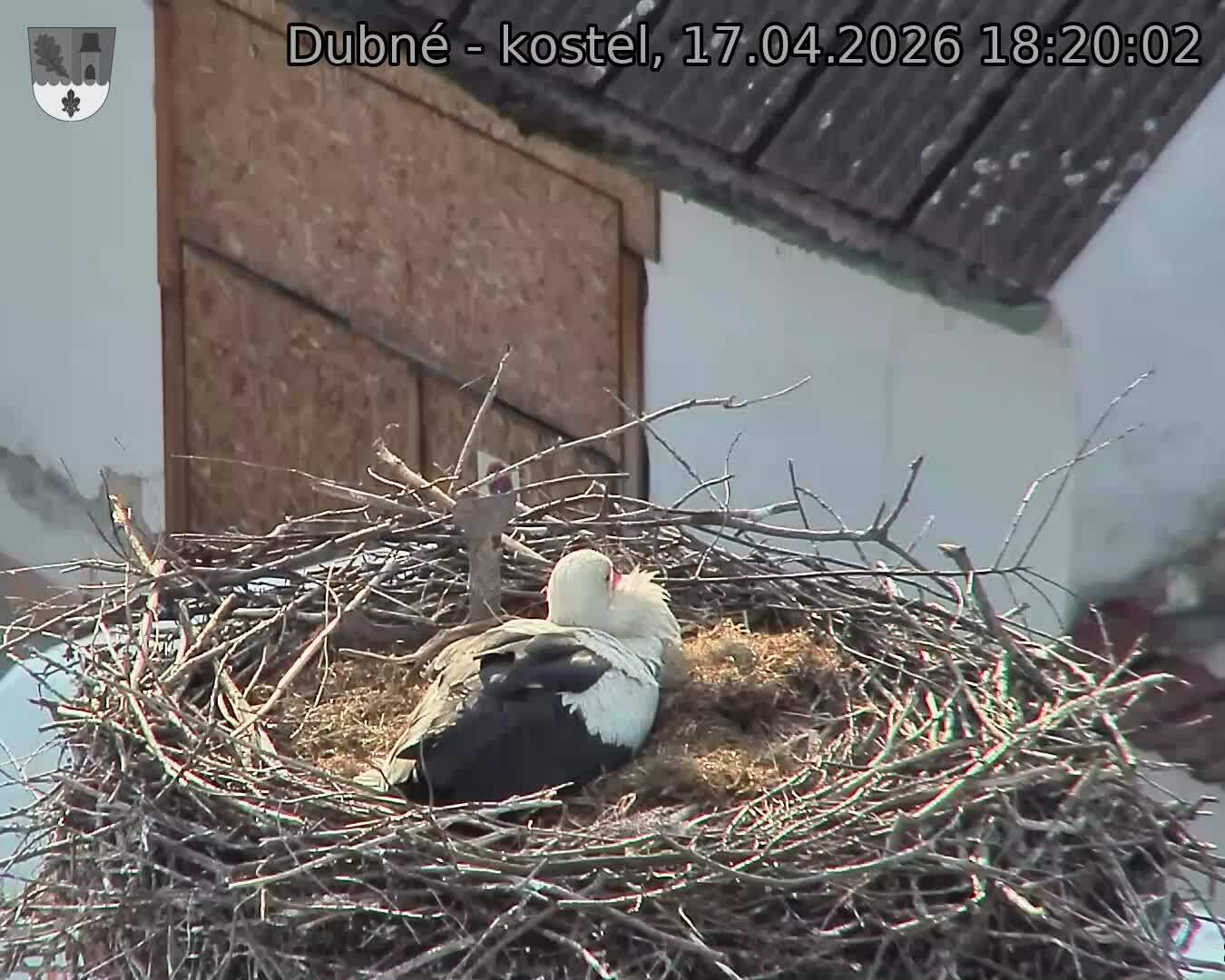 Capi_Dubne_20260417_182002.jpg (1350&nbsp;x&nbsp;1080)