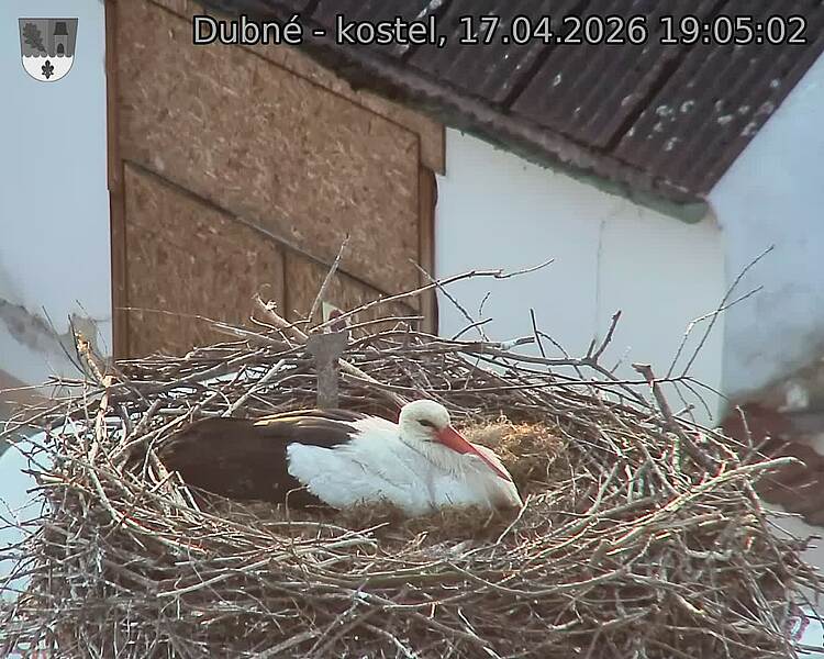 Capi_Dubne_20260417_190502.jpg (1350&nbsp;x&nbsp;1080)