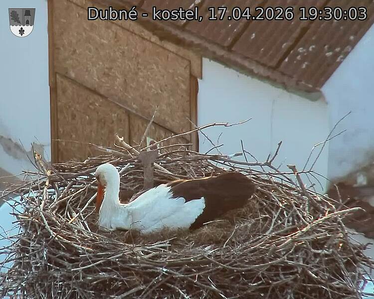 Capi_Dubne_20260417_193003.jpg (1350&nbsp;x&nbsp;1080)