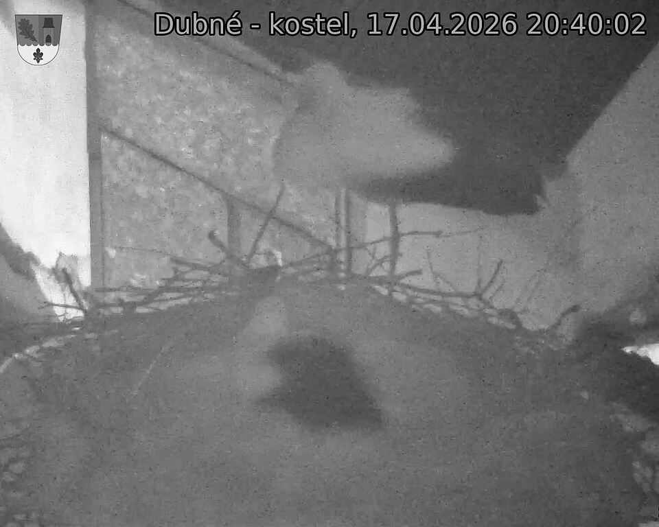 Capi_Dubne_20260417_204002.jpg (1350&nbsp;x&nbsp;1080)