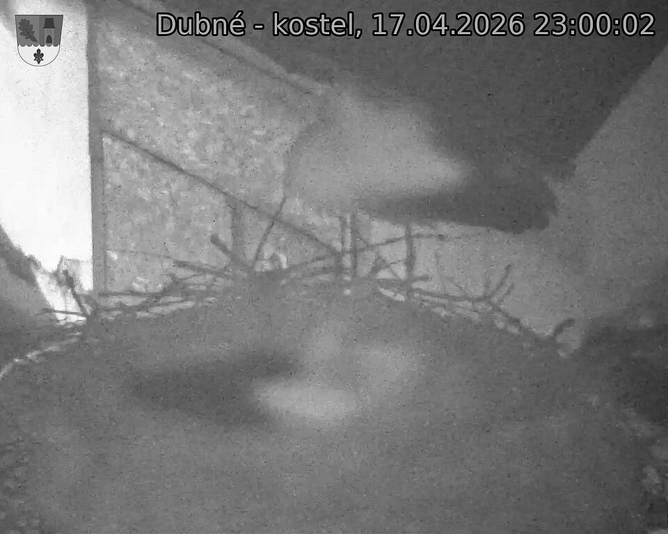 Capi_Dubne_20260417_230002.jpg (1350&nbsp;x&nbsp;1080)