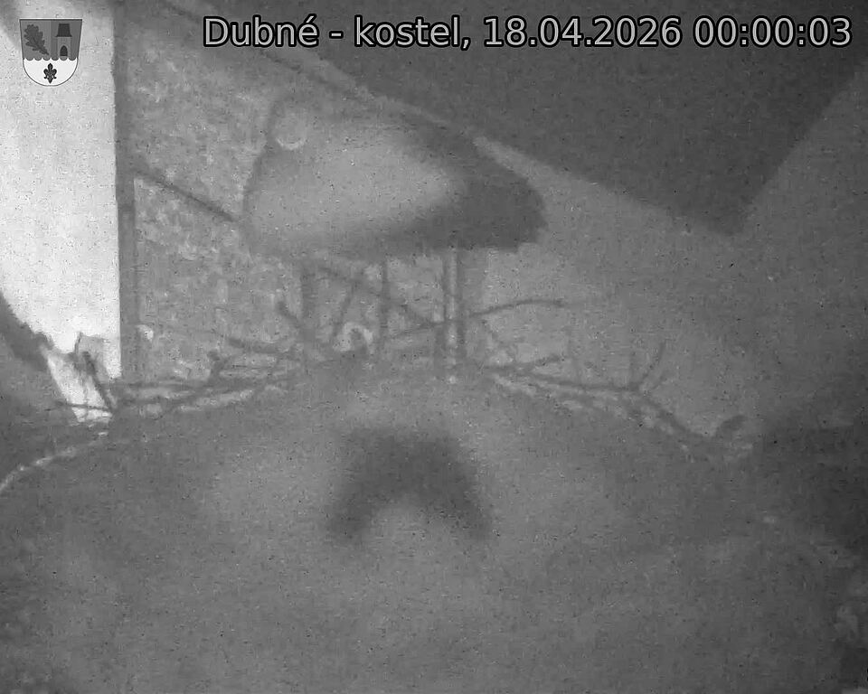 Capi_Dubne_20260418_000003.jpg (1350&nbsp;x&nbsp;1080)