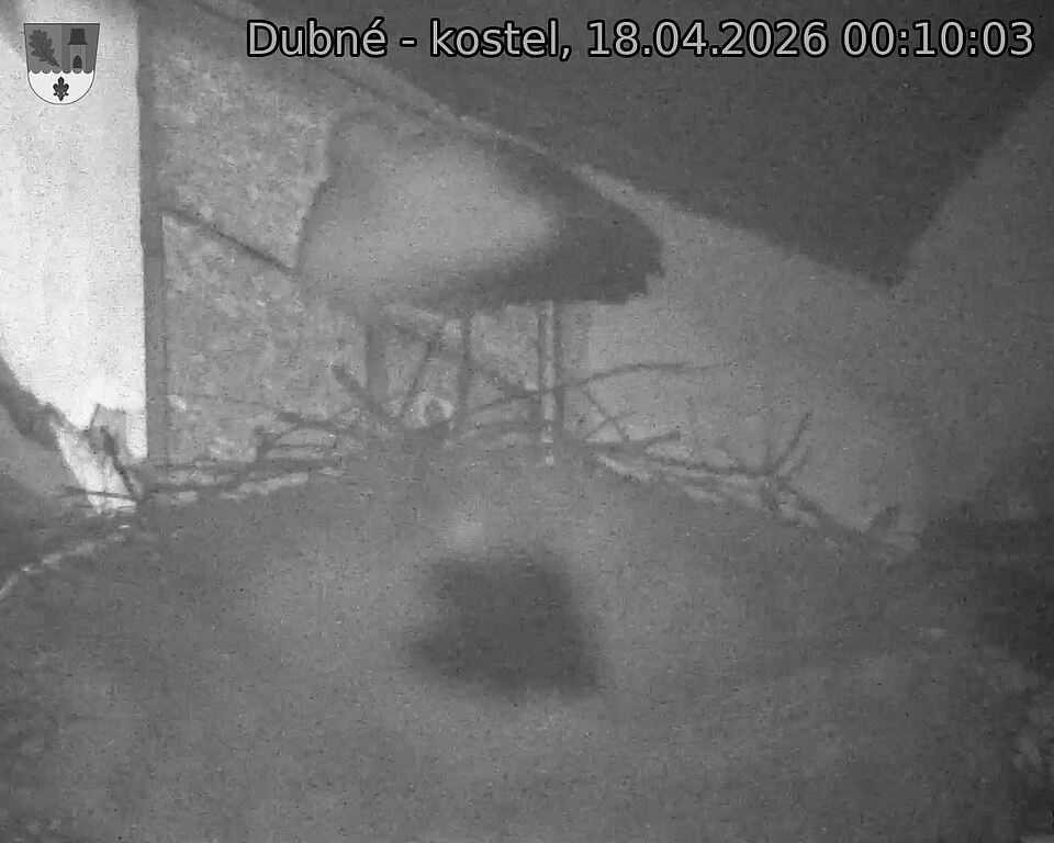 Capi_Dubne_20260418_001003.jpg (1350&nbsp;x&nbsp;1080)