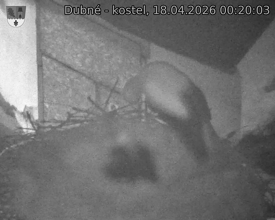 Capi_Dubne_20260418_002003.jpg (1350&nbsp;x&nbsp;1080)