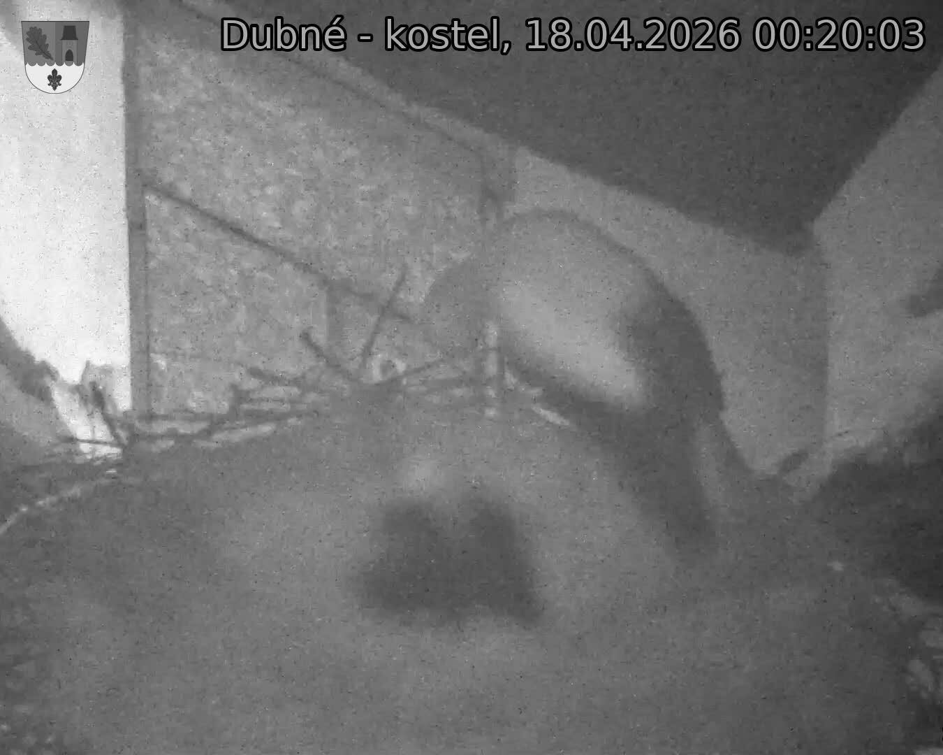 Capi_Dubne_20260418_002003.jpg (1350&nbsp;x&nbsp;1080)
