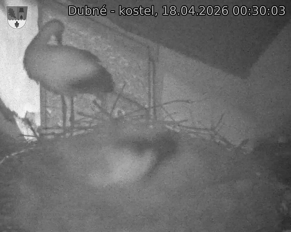 Capi_Dubne_20260418_003003.jpg (1350&nbsp;x&nbsp;1080)