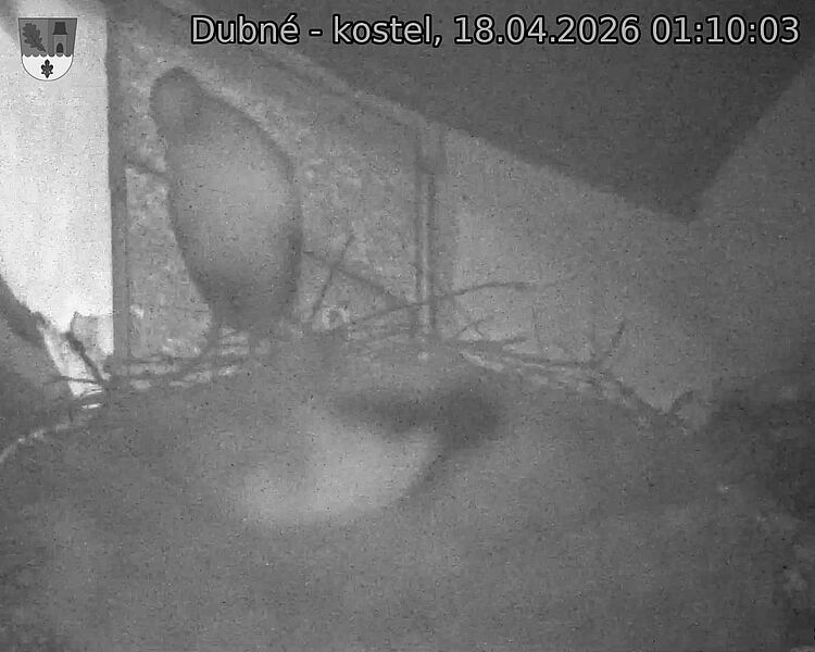 Capi_Dubne_20260418_011003.jpg (1350&nbsp;x&nbsp;1080)