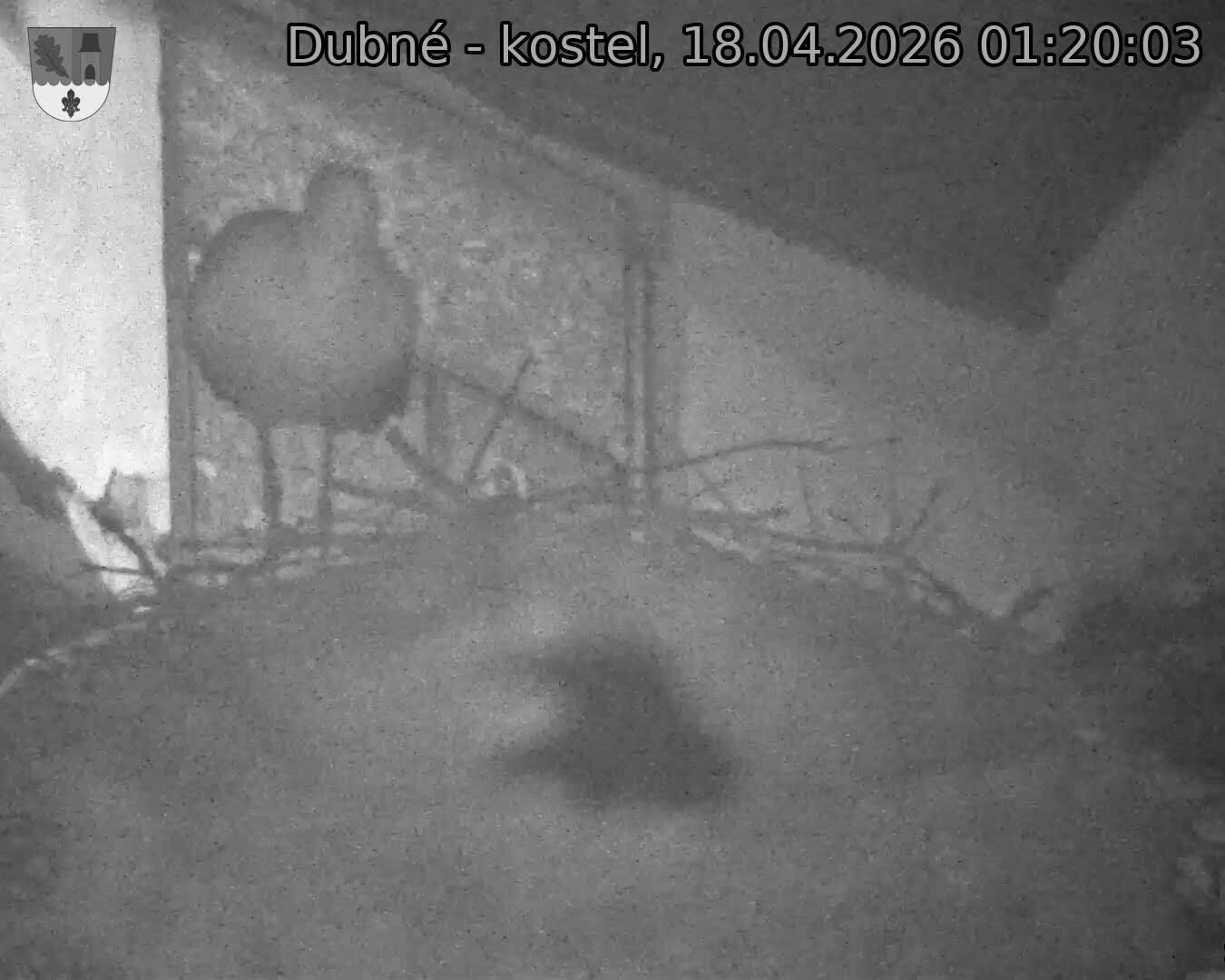 Capi_Dubne_20260418_012003.jpg (1350&nbsp;x&nbsp;1080)