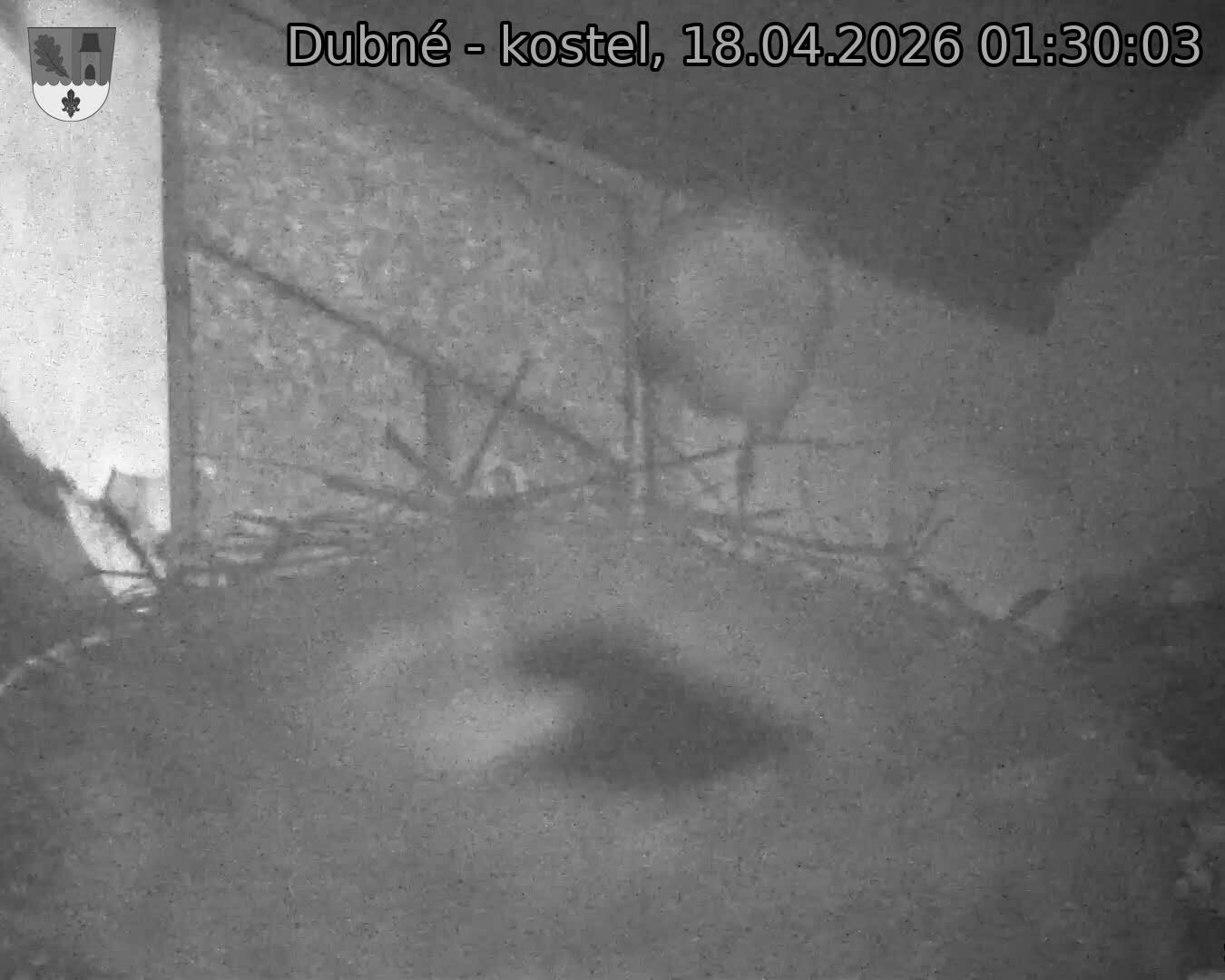 Capi_Dubne_20260418_013003.jpg (1350&nbsp;x&nbsp;1080)