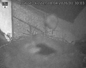 Capi_Dubne_20260418_013003.jpg (1350&nbsp;x&nbsp;1080)