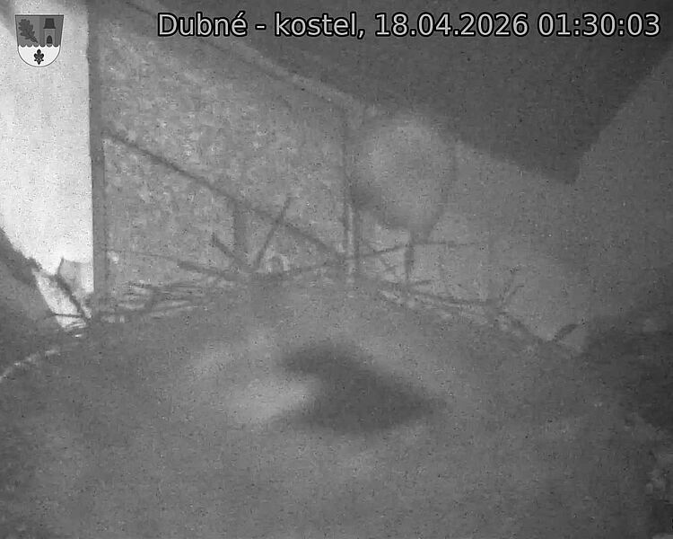 Capi_Dubne_20260418_013003.jpg (1350&nbsp;x&nbsp;1080)