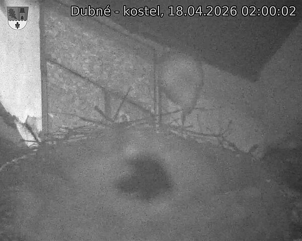 Capi_Dubne_20260418_020002.jpg (1350&nbsp;x&nbsp;1080)