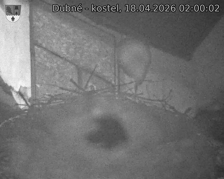 Capi_Dubne_20260418_020002.jpg (1350&nbsp;x&nbsp;1080)