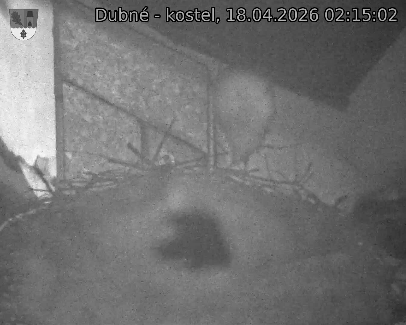 Capi_Dubne_20260418_021502.jpg (1350&nbsp;x&nbsp;1080)