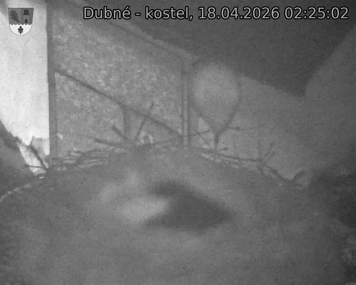 Capi_Dubne_20260418_022502.jpg (1350&nbsp;x&nbsp;1080)