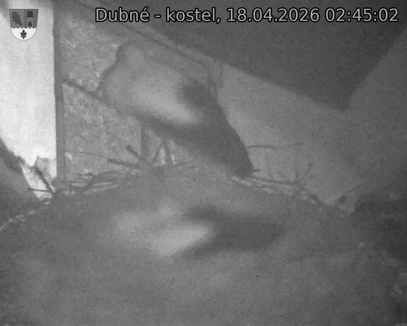 Capi_Dubne_20260418_024502.jpg (1350&nbsp;x&nbsp;1080)