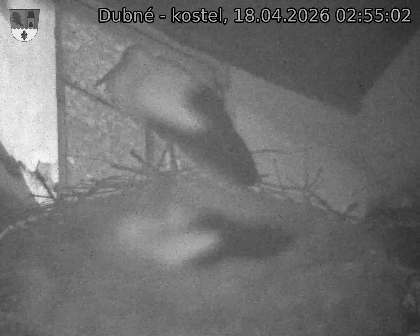 Capi_Dubne_20260418_025502.jpg (1350&nbsp;x&nbsp;1080)