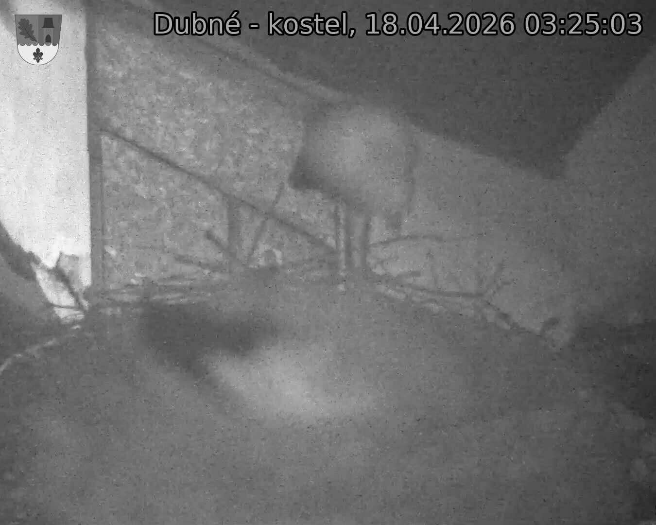 Capi_Dubne_20260418_032503.jpg (1350&nbsp;x&nbsp;1080)
