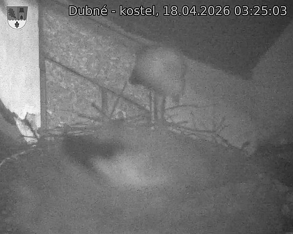Capi_Dubne_20260418_032503.jpg (1350&nbsp;x&nbsp;1080)
