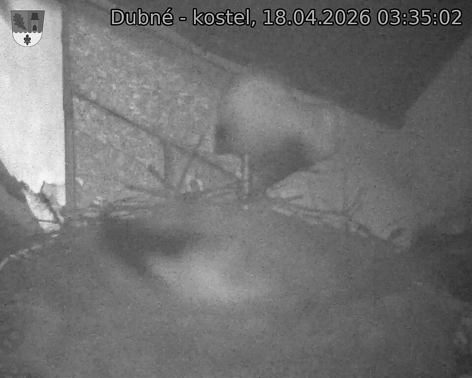 Capi_Dubne_20260418_033502.jpg (1350&nbsp;x&nbsp;1080)