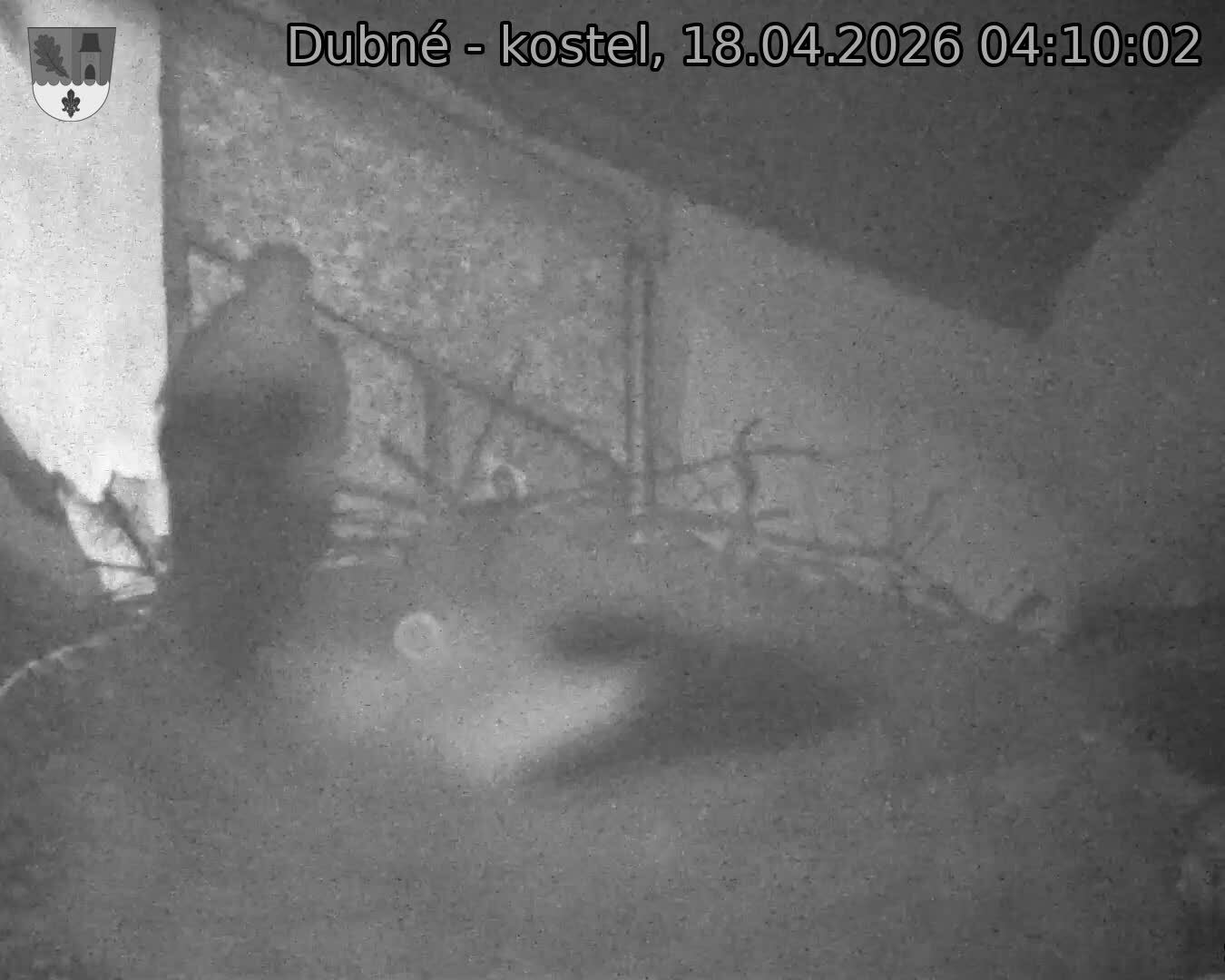 Capi_Dubne_20260418_041002.jpg (1350&nbsp;x&nbsp;1080)