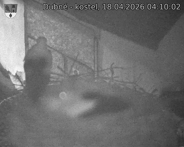 Capi_Dubne_20260418_041002.jpg (1350&nbsp;x&nbsp;1080)