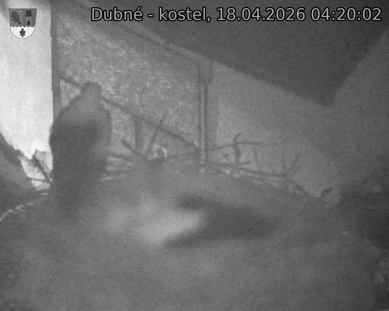 Capi_Dubne_20260418_042002.jpg (1350&nbsp;x&nbsp;1080)