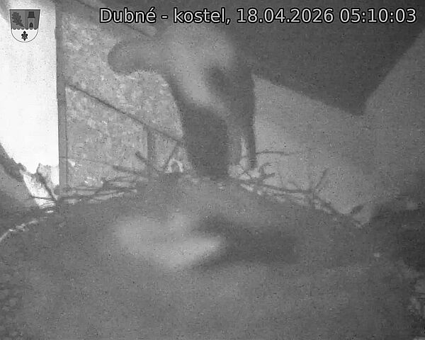 Capi_Dubne_20260418_051003.jpg (1350&nbsp;x&nbsp;1080)