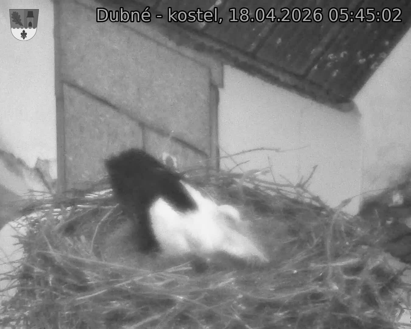 Capi_Dubne_20260418_054502.jpg (1350&nbsp;x&nbsp;1080)