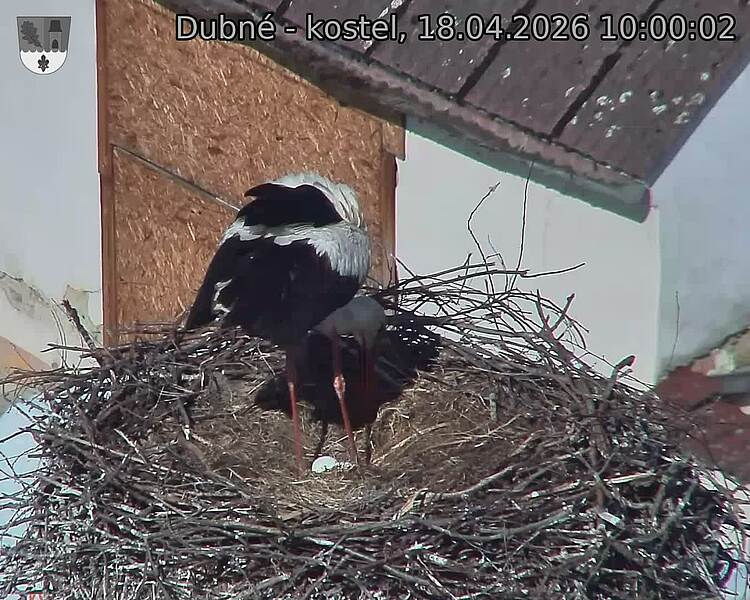 Capi_Dubne_20260418_100002.jpg (1350&nbsp;x&nbsp;1080)