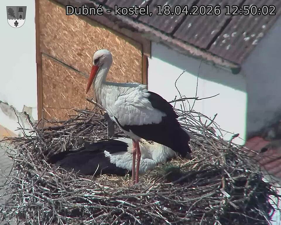 Capi_Dubne_20260418_125002.jpg (1350&nbsp;x&nbsp;1080)