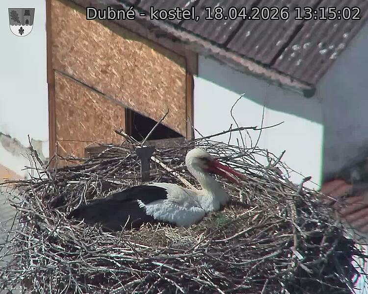 Capi_Dubne_20260418_131502.jpg (1350&nbsp;x&nbsp;1080)