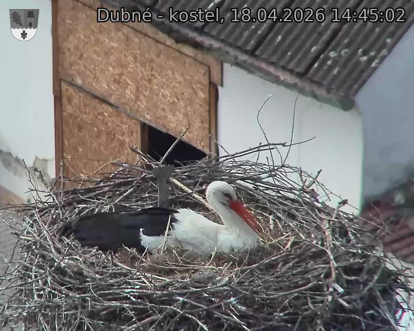 Capi_Dubne_20260418_144502.jpg (1350&nbsp;x&nbsp;1080)